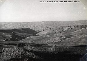 Palica - E- Divers 047